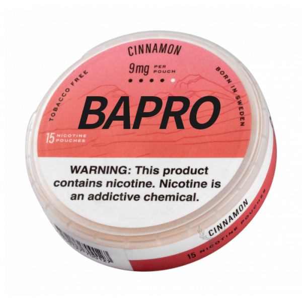 Exploring Nicotine Packets for Mouth: A Smokeless Solution